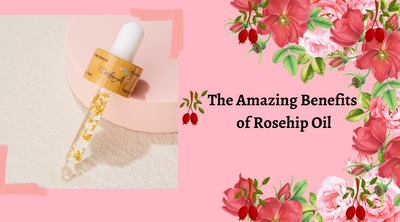 Amazing Benefits Of Rosehip Face Oil